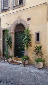 Diapason Colosseo Suite