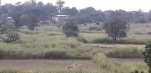 Karjat Mountain Villa