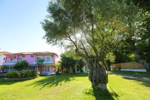 Mandraki Village Boutique Hotel Skiathos Greece