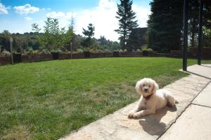 Apartments Vila Vrdnik