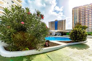 Studio on the Ocean Coast