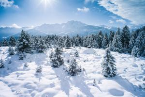 Soldanella by Hotel Adula