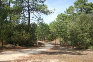 Chalets La Palombiere, plage a 150m : photos des chambres