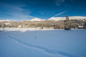 Ludlalm am Prebersee