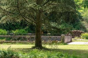 Le Moulin du Loison photo 9