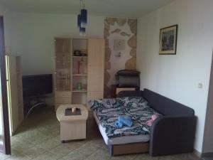 Apartment Djanina