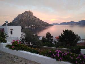 Elenis Studios&Apartments