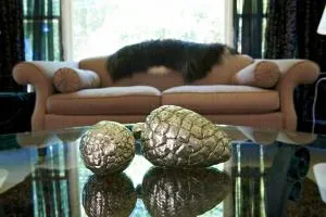 Cambridge Cottage - Self Catering Holiday House - 坎布里奇