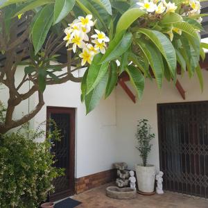 Oak on Blair - 3hvězdičkové hotely ve městě Somerset West