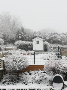 Maisons de vacances Au Petit Jardin : photos des chambres