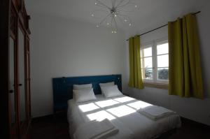 Surfivor Porto Surf Hostel