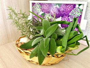 Casa Dolce Hibiscus img22