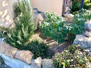 Casa Dolce Hibiscus img40