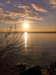 Appartements Splendide vue face a la mer avec garage : photos des chambres