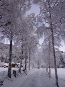 Apartment zum Wasserfall