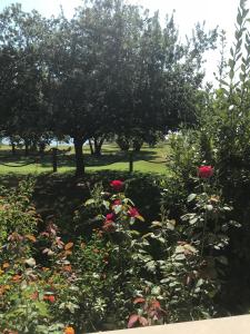 Residence Scopa Marina