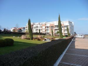 Great Choice Apartment