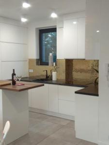 Luxury apartment with own parking