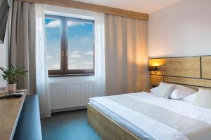 Deluxe Double Room room in Penzión Darinka