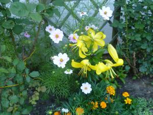 Pokoje Gościnne Wajer