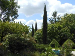 Maisons de vacances Pistoulet Holiday Cottage : photos des chambres