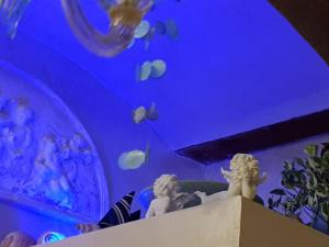 Stella del Mar S.Stefano