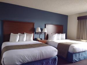 Executive Queen Room with Two Queen Beds - Non-Smoking room in AmericInn by Wyndham Windsor Ft. Collins
