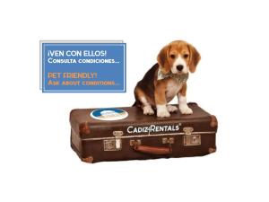 Apartamento VELADOR del Sur by Cadiz4Rentals