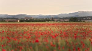 Maisons de vacances Che Val 23 : photos des chambres