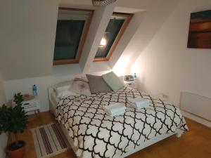 Apartament Kasztanowa