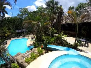 Ceiba Tops - Sucusari