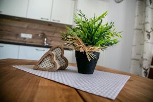 Appartement Alpenliebe