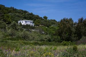 Villa Afrodite Kefalloniá Greece