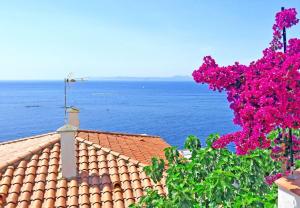 Fantastico studio, vista mare, 5mn dalla spiaggia - Casa ArteVida