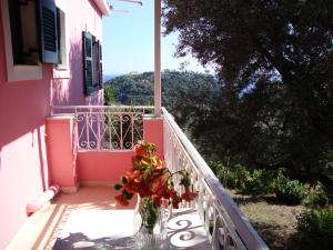 Ipsia Apartments Corfu Greece