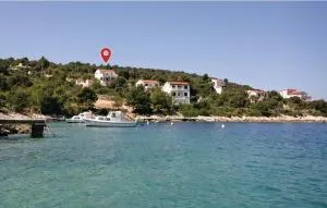 Nina - 大德尔韦尼克