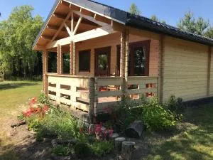 Borowiak - Zielona Góra