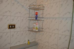 By the Nile - Room in Shared Apartment in the center of Cairo