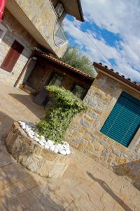 Tourist farm with Apartments Fig tree 