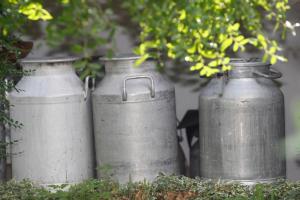 Tourist farm with Apartments Fig tree 