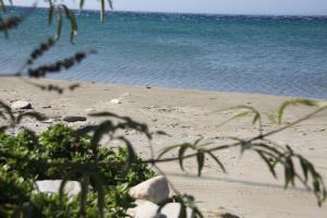 ''Sea front'' Rose's house Tinos Greece