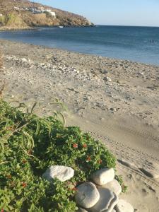 ''Sea front'' Rose's house Tinos Greece