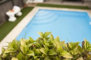 Cortijo La Algallumbilla