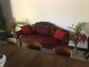 Cinnamon Bungalow