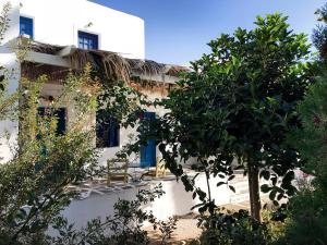 Arokaria Dreams Apartments Paros Greece