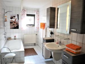 Ferienwohnung-Apartment Regnitztal