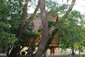 Lodges Ecolodge Beauregard : Suite Lit King-Size avec Balcon