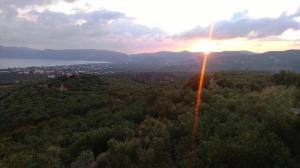 Life Breeze Chania Greece