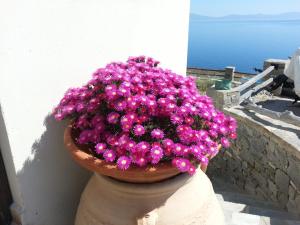 Aegean View - Seaside Apartment in Syros Syros Greece