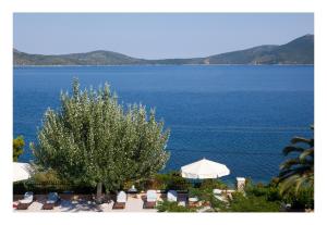 Alonissos beach villa 5 steps away from the sea Alonissos Greece